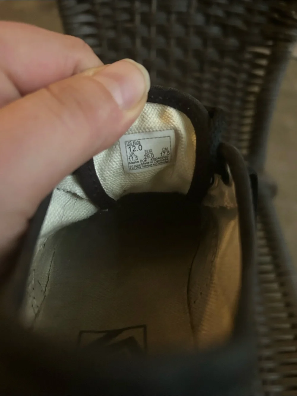 Vans Black Canvas Low-Top Sneakers